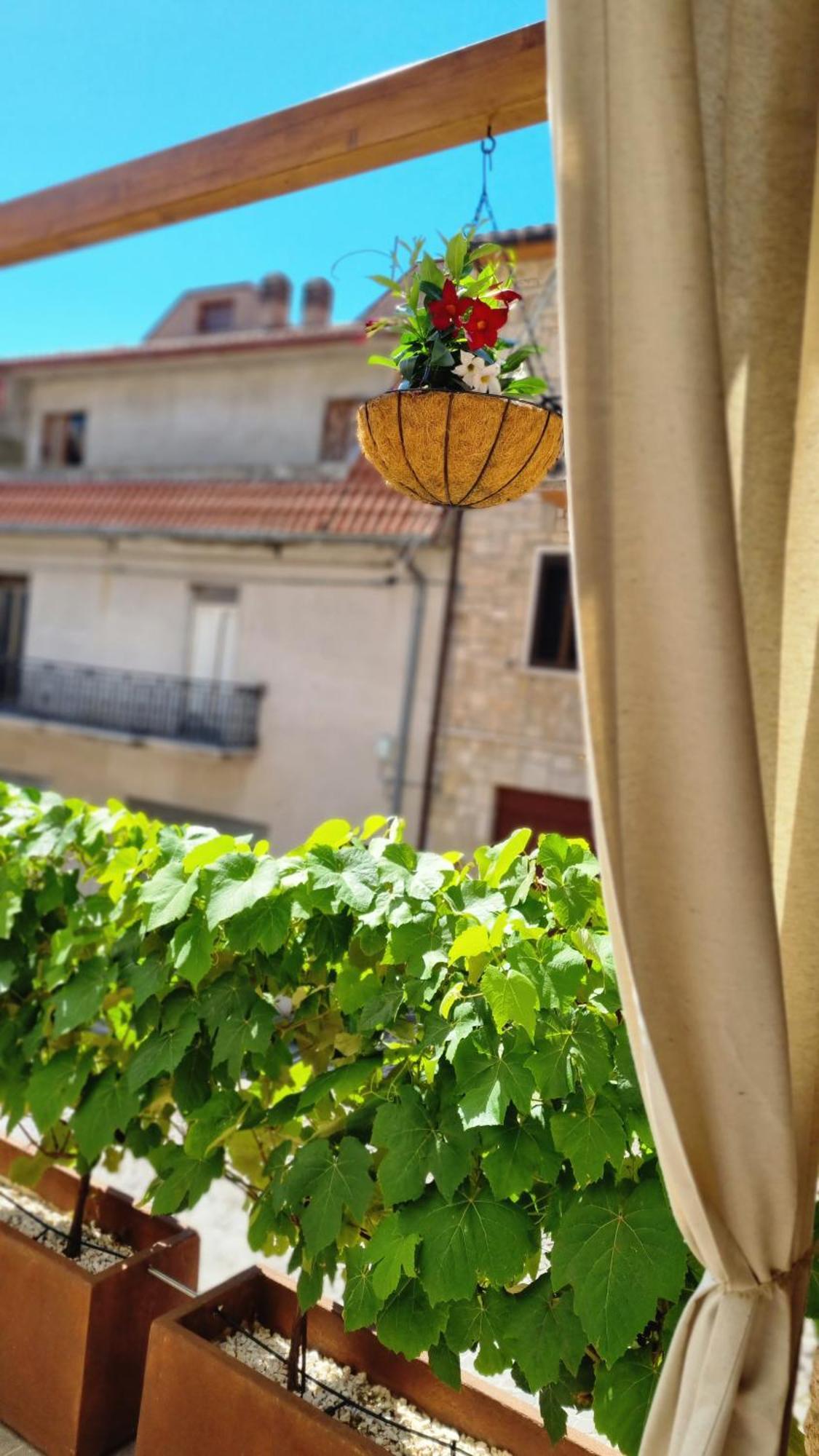 B&B Il Fabbro Chambre Castelmauro Dış mekan fotoğraf